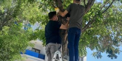 Konya’da esnaf kedi için seferber oldu