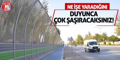 Ne İşe Yaradığını Duyunca Çok Şaşıracaksınız!