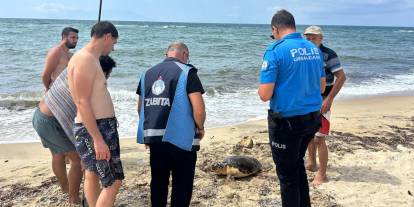 Yaralı caretta caretta tedaviye alındı