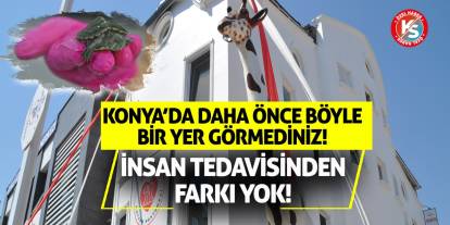 Konya'da Daha Önce Böyle Bir Yer Görmediniz! İnsan Tedavisinden Farkı Yok!