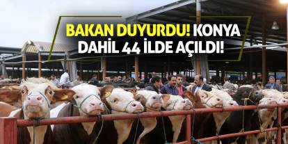 Bakan duyurdu! Konya dahil 44 ilde açıldı!