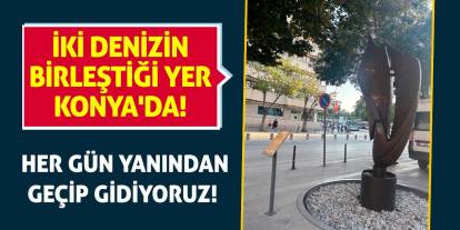 İki denizin birleştiği yer Konya'da! Her gün yanından geçip gidiyoruz!