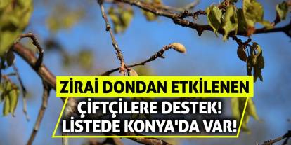 Zirai Dondan Etkilenen Çiftçilere Destek! Listede Konya'da Var!