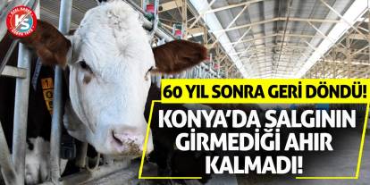 Konya’da Salgının Girmediği Ahır Kalmadı! 60 Yıl Sonra Geri Döndü!