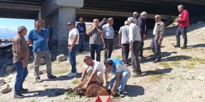 Beyşehirli balıkçılar göl kenarında toplanıp kurban kestiler