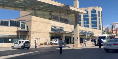 Ceviz toplarken ağaçtan düşüp öldü
