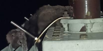Konya'da mahalledeki elektrik kesintisinin sebebi şok etti!
