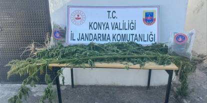 Konya’da 8 Kök Kenevir ve Uyuşturucu Ele Geçirildi