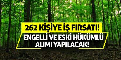 262 kişiye iş fırsatı: Engelli ve eski hükümlü alımı yapılacak!