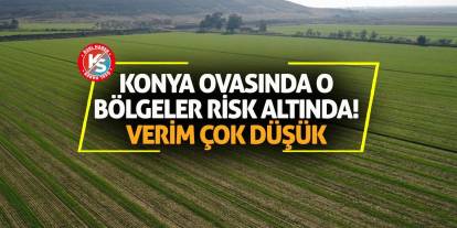 Konya Ovasında o bölgeler risk altında! Verim çok düşük