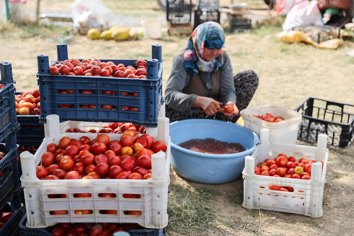 aa-20240927-35750183-35750180-dogal-uretimle-gecinen-cift-bahcesini-devlet-destegiyle-gelistirdi.jpg