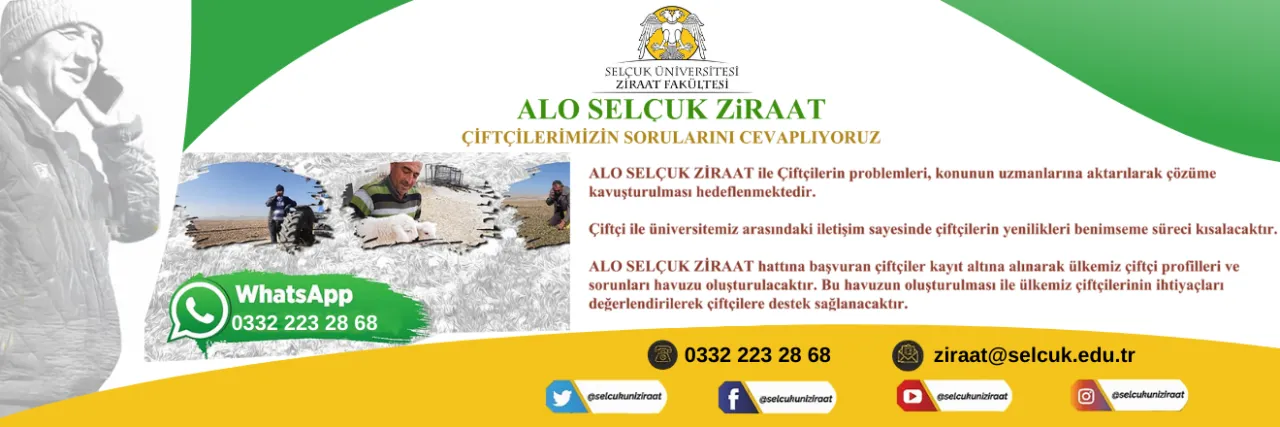 aloziraatslider1-638687550482157862.webp