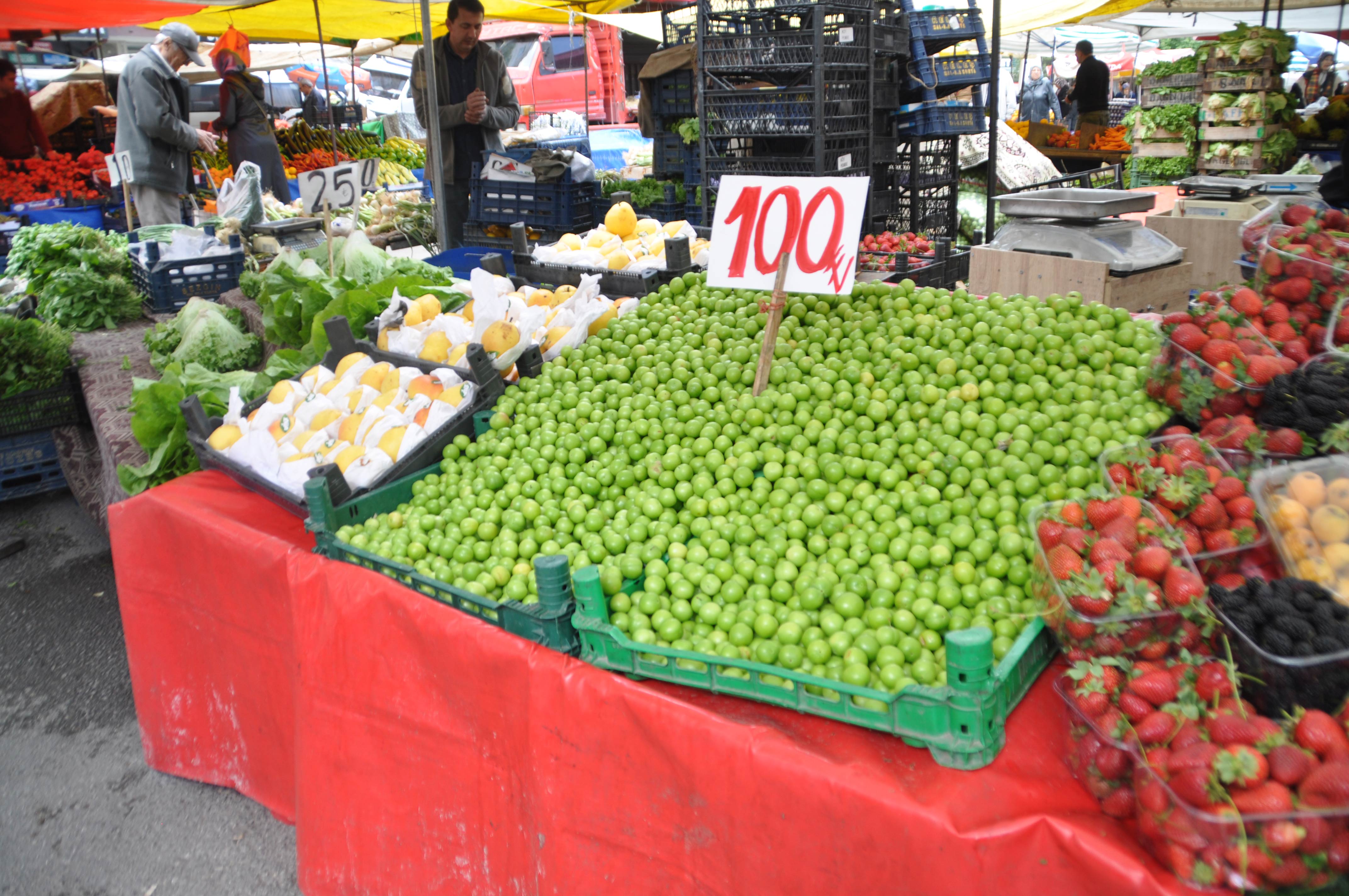 dsc-0011.jpg