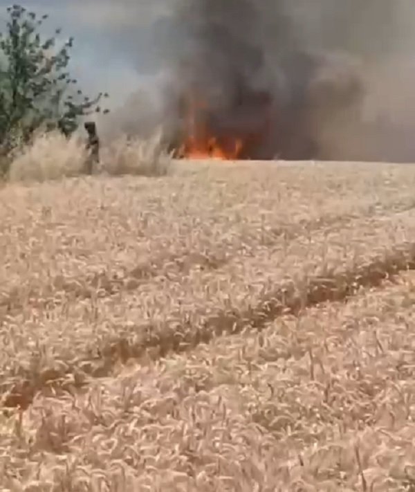 Buğday tarlasında yangın