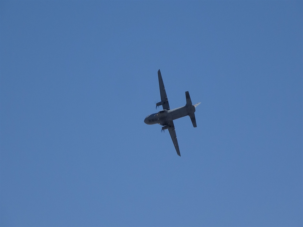 797309.jpg