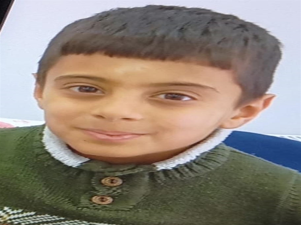 802897.jpg
