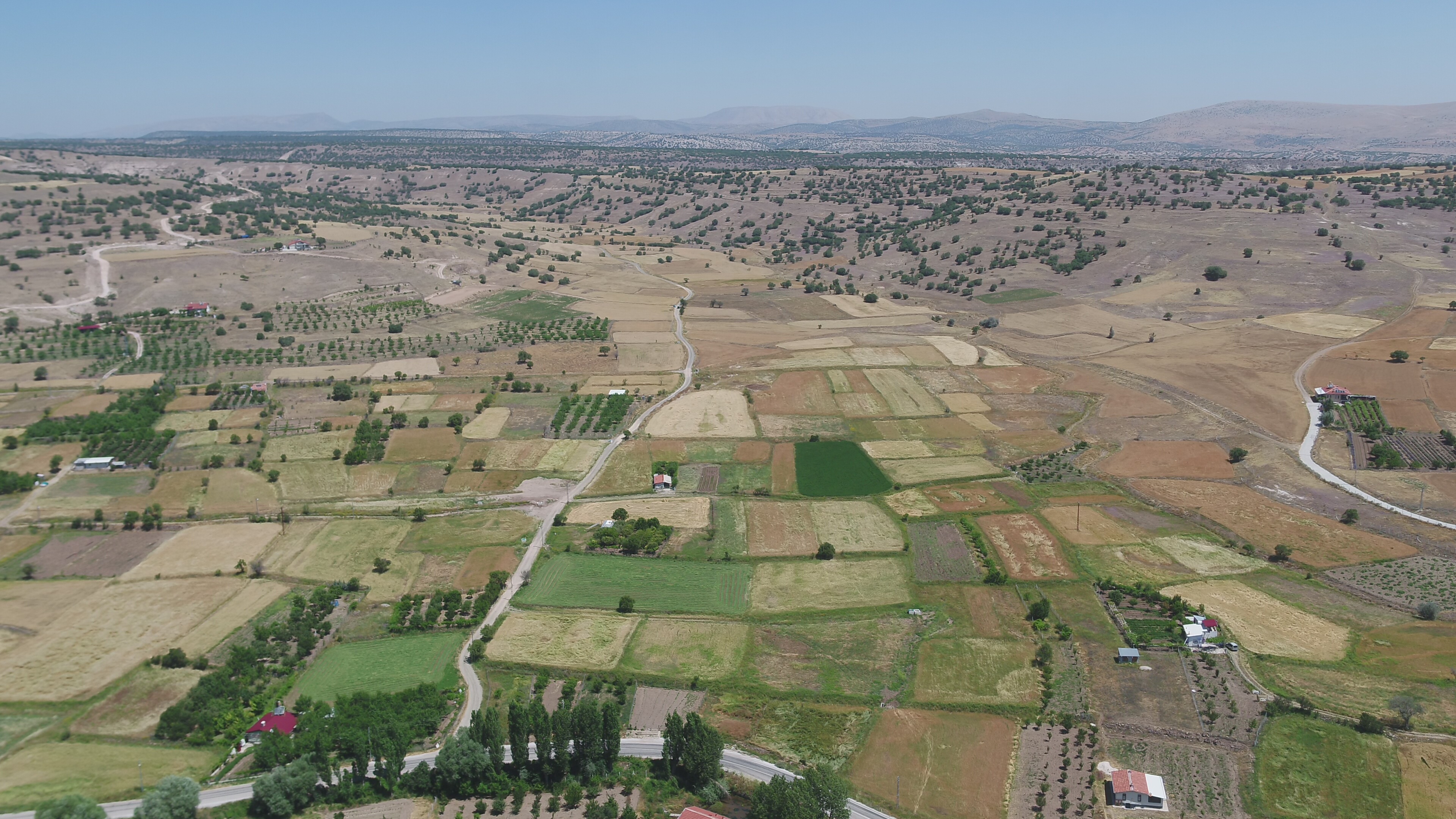 dji-0007.jpg