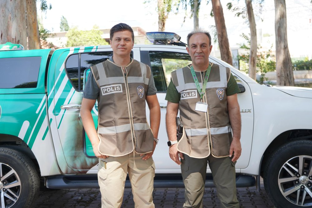 Aracıyla hayvana çarpıp kaçmanın cezası 10 bin 385 TL