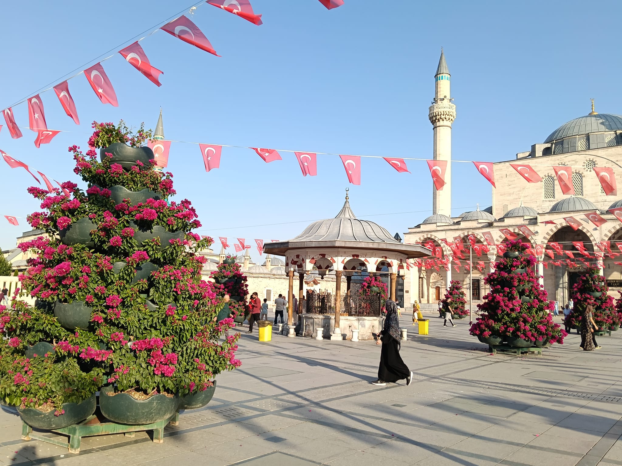 1f01491e-4e38-48a8-85f1-70f72e79b518-1.jpeg