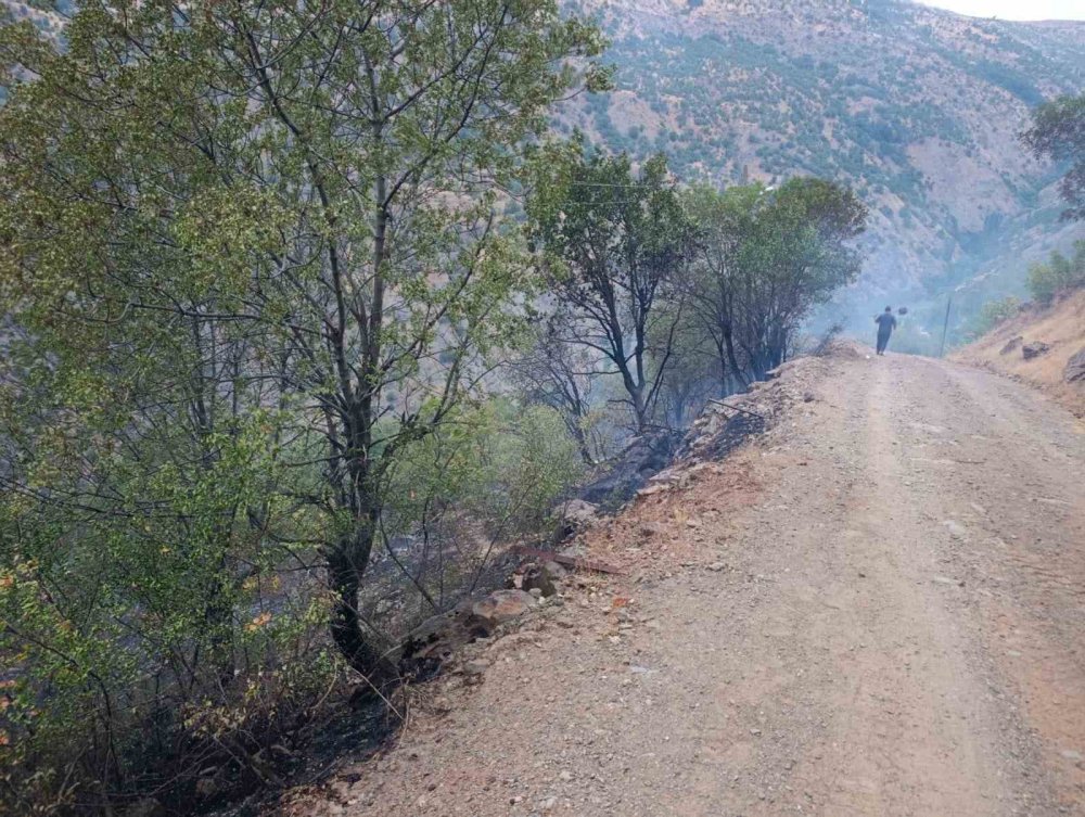 Ahır ve samanlıkta çıkan yangın ormanlık alana sıçradı, müdahale sürüyor