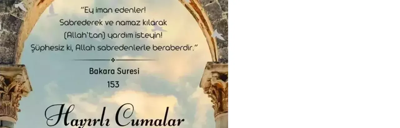 688bbf840e2c3c6ca8172c55-001.webp