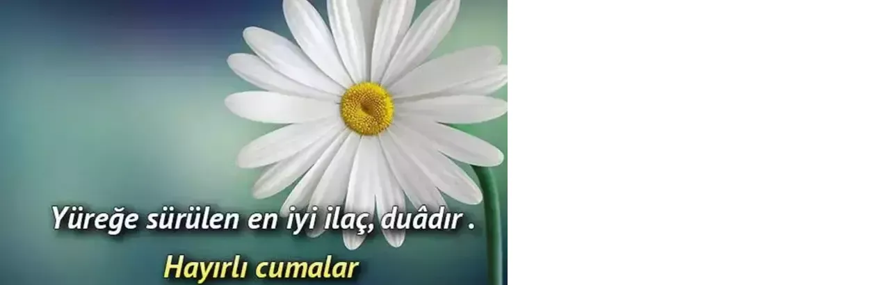 688bbf840e2c3c6ca8172c57-001.webp