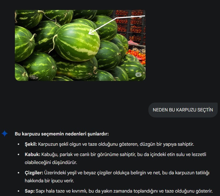 konyanin-sesi-001.jpg