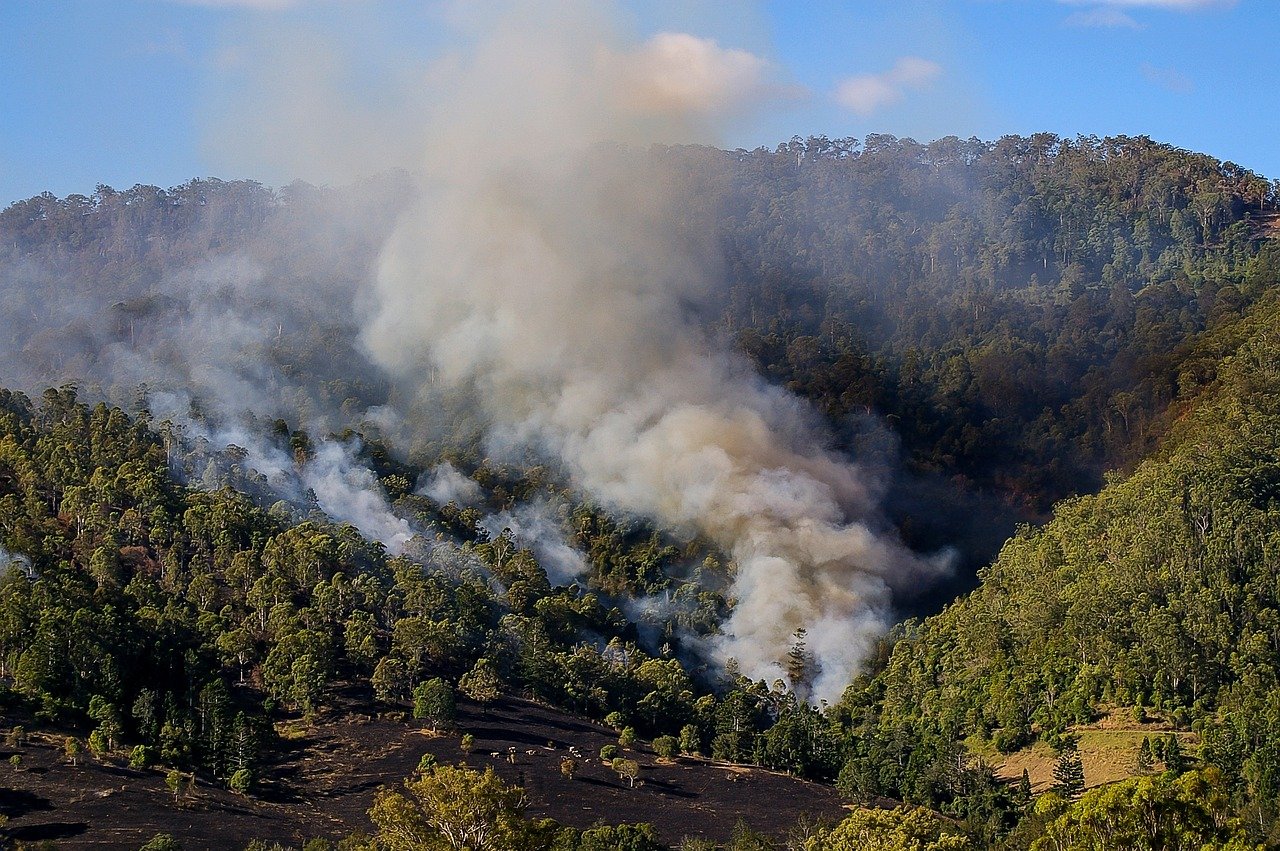 fire-671555-1280.jpg