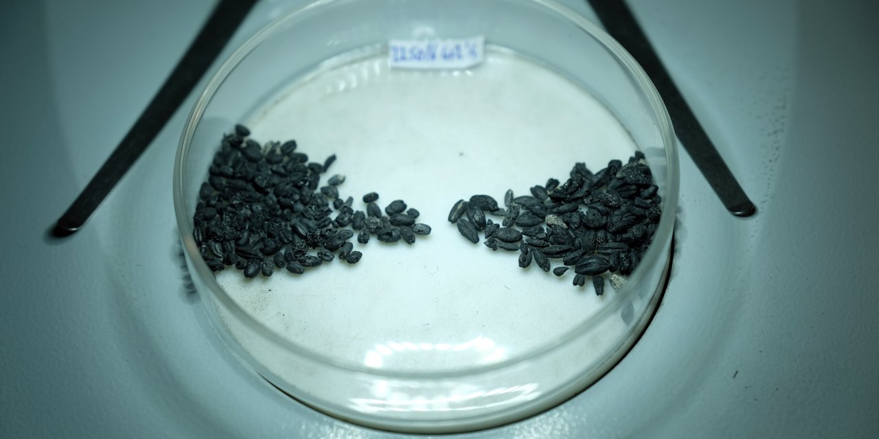 turkmen-karahoyukte-2-bin-yillik-kalem-870953-258613.jpg