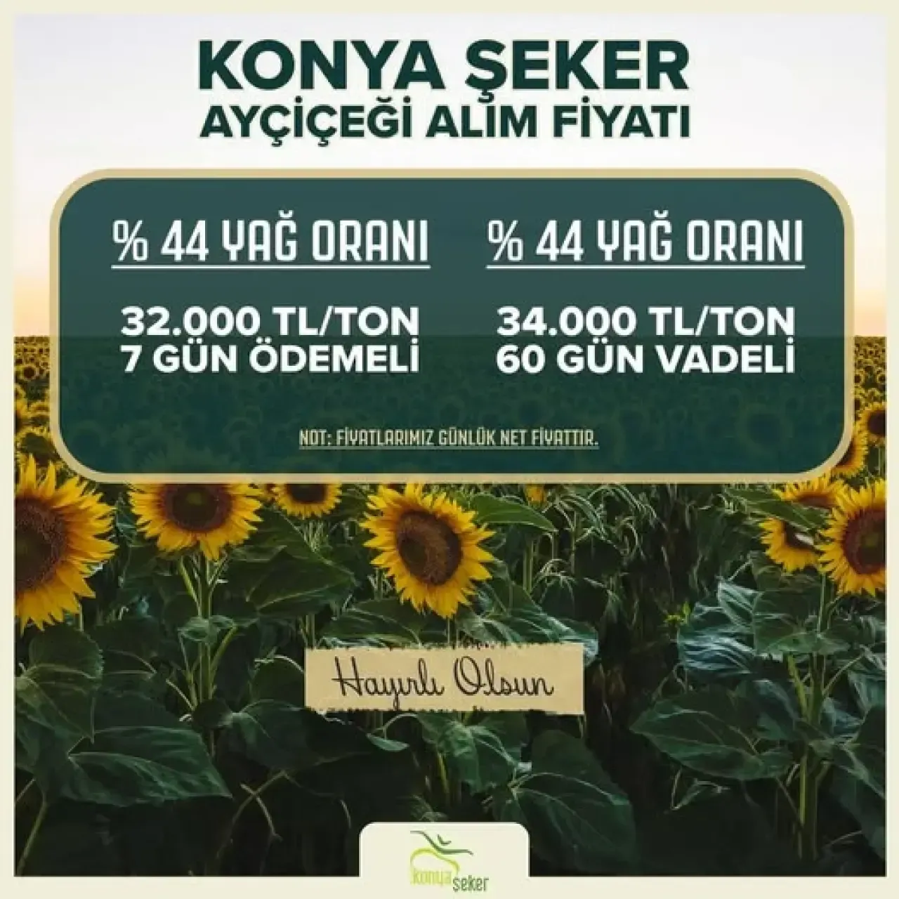 1755785573162-image.webp