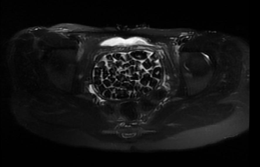 aw542492-06-001.jpg
