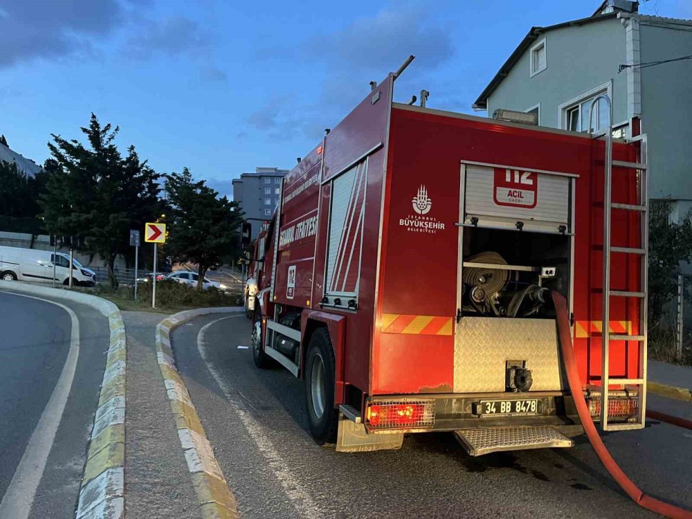 Kargo aracı alev alev yandı