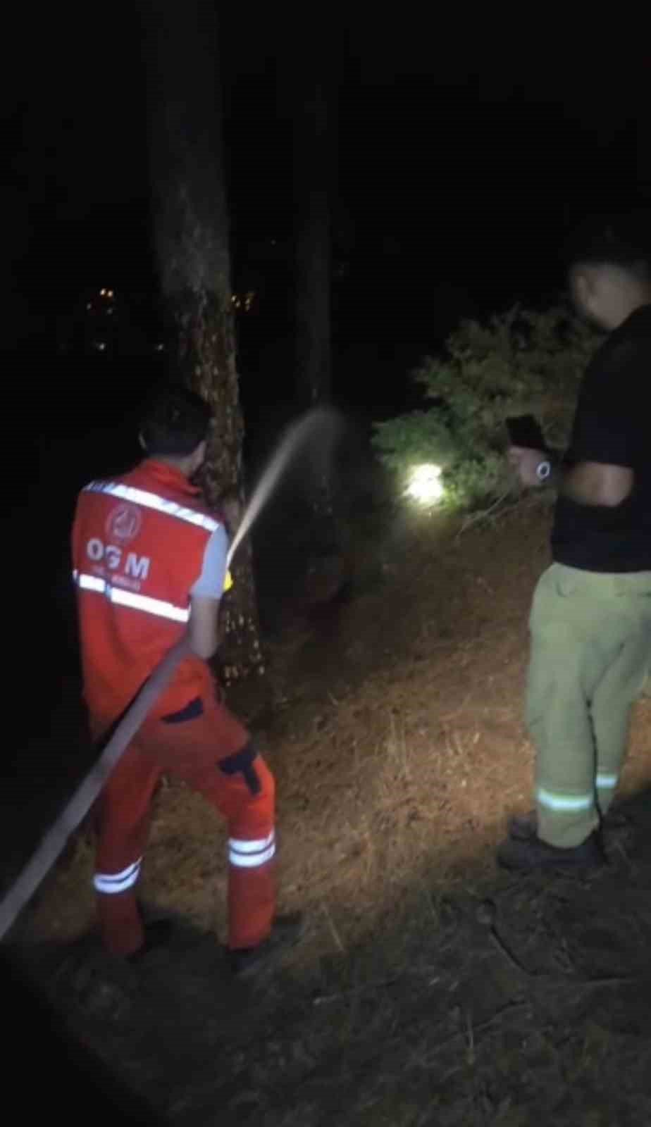 Bingöl’de çıkan orman yangını kontrol altına alındı